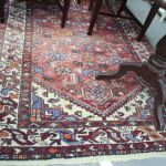 725 6607 ORIENTAL RUG